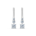 Solitaire Eternity Earring, 0.6 ct — 102-10143(0.30)PR