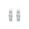 Eternity Earring, 0.3 ct — 102-10127